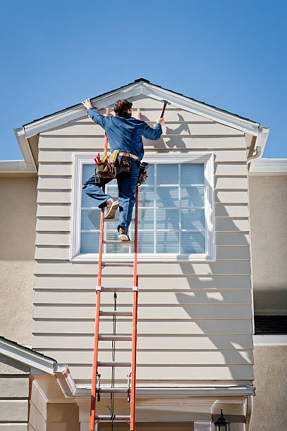 Best Brick Veneer Siding  in University Park, IL